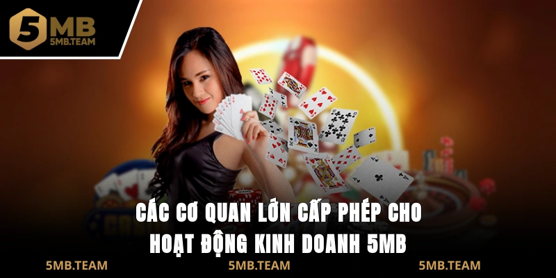 Các cơ quan lớn cấp phép cho hoạt động kinh doanh 5MB