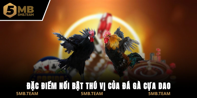Đặc điểm nổi bật thú vị của đá gà cựa dao