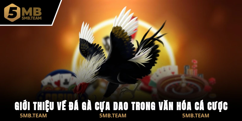 Giới thiệu về đá gà cựa dao trong văn hóa cá cược