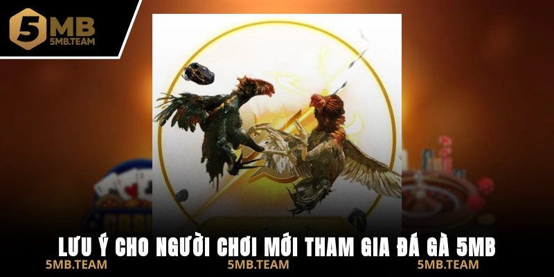 Lưu ý cho người chơi mới tham gia đá gà 5MB