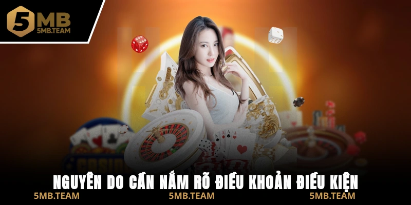 Nguyên do cần nắm rõ Điều khoản điều kiện