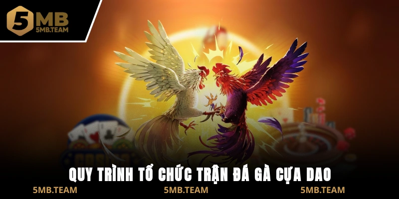 Quy trình tổ chức trận đá gà cựa dao
